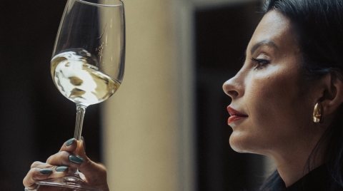 Vinícolas perto de Santiago: qual experiência combina com você.